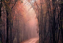 15个宝藏工具网站，全部免费！