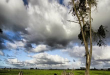 15个宝藏工具网站，全部免费！