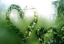 16个宝藏工具网站，全部免费！